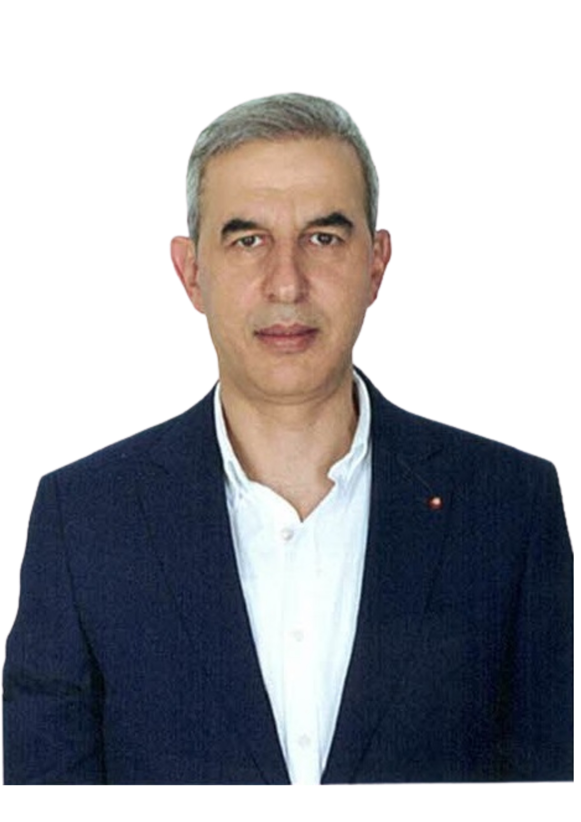 MEHMET DEMİR